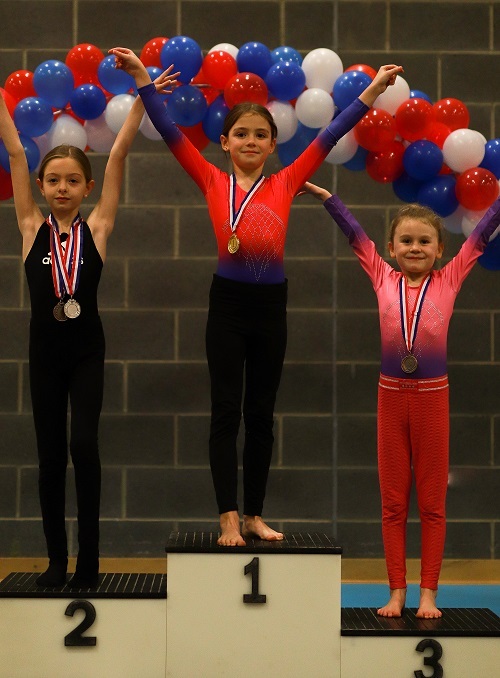 Magna Vitae Gymnastics