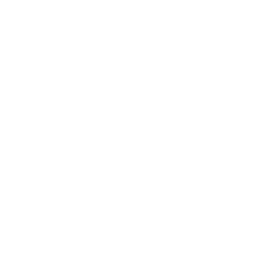Pound 256